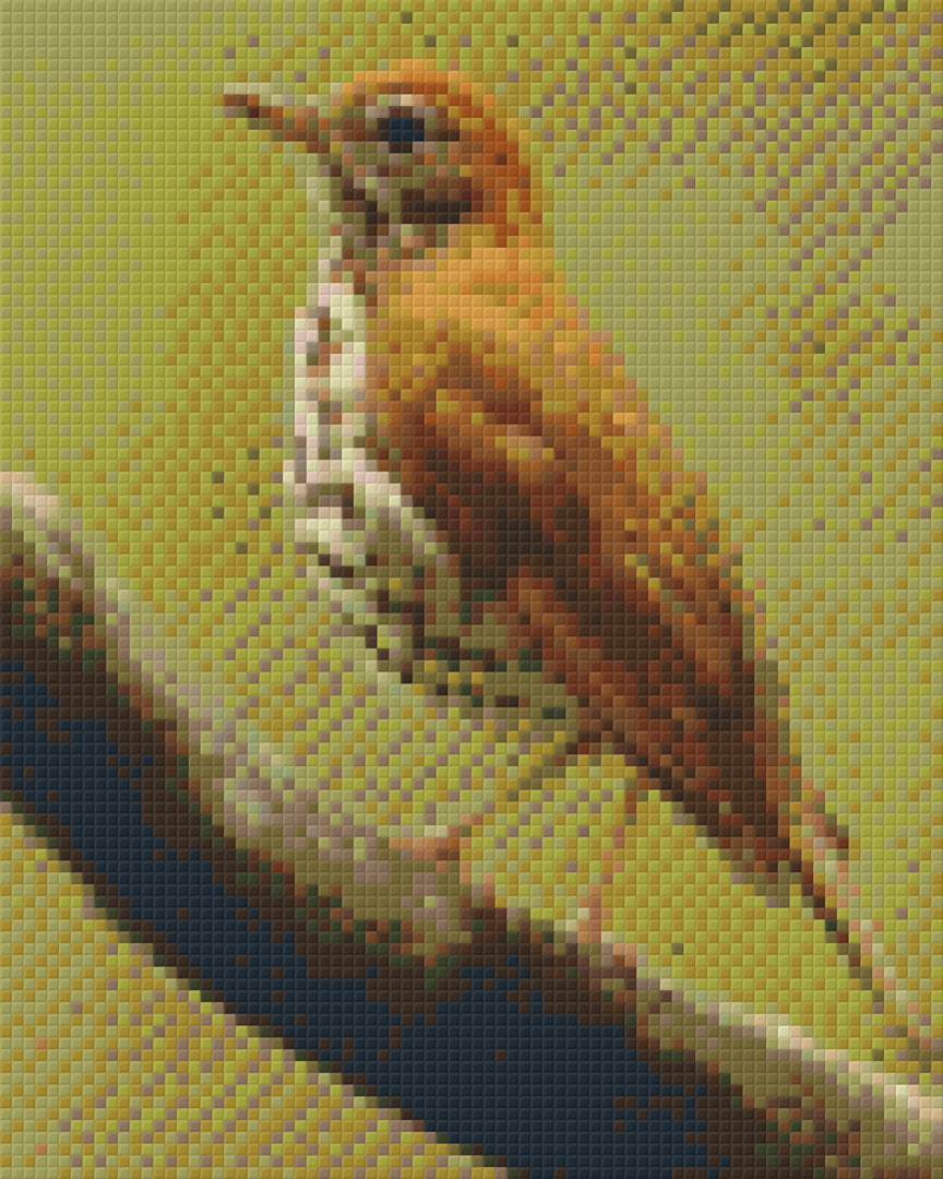 N.Z. Thrush [4] Four Baseplate Pixelhobby Mini Mosaic Art Kit image 0